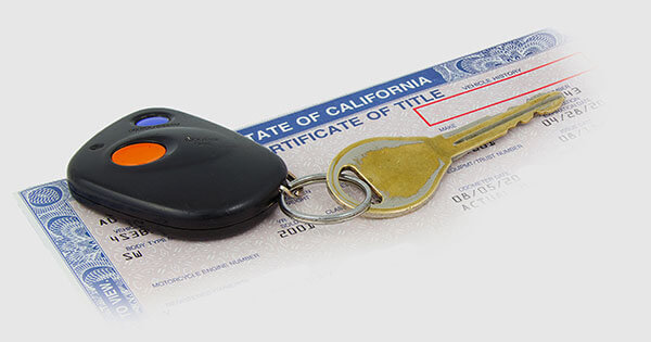 License Services